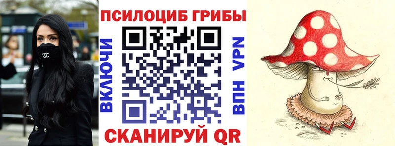 Галлюциногенные грибы ЛСД  купить наркоту  Торопец 